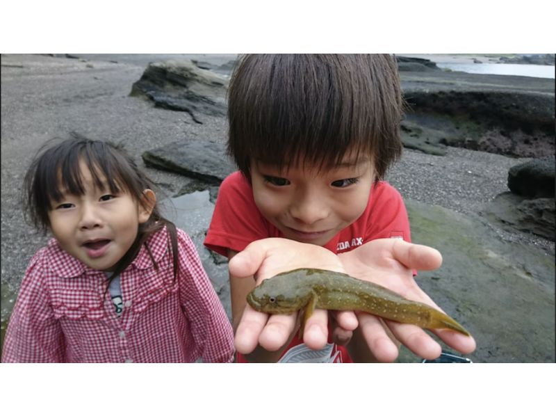 【神奈川・三浦】＊家族向け＊磯ガサ＊神奈川穴場をご紹介、三浦に20年週末暮らしがご案内の紹介画像
