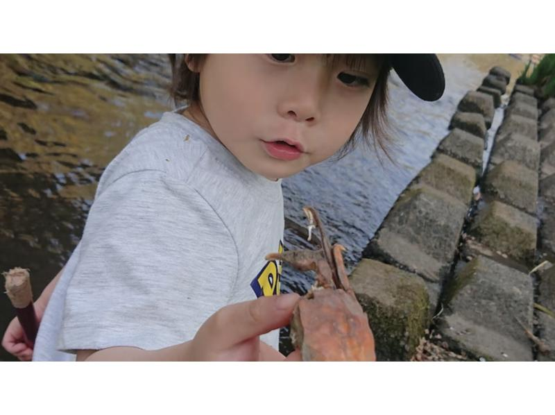 [Tokyo/Chofu] 8:00 AM, 13:00 PM - *Family friendly* Greedy course! Insect observation and river creature exploration set (motorized electric bicycle with front and rear child seats)の紹介画像