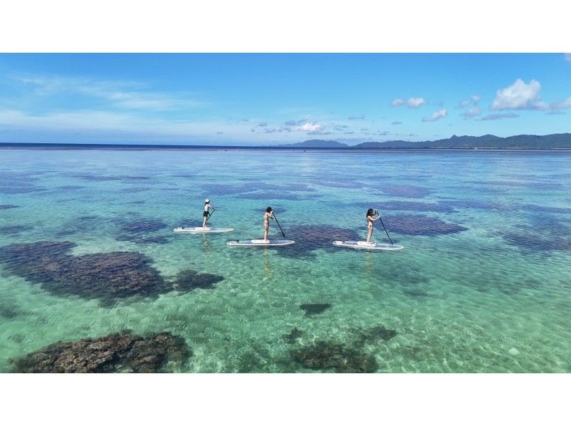 石垣島【1組限定貸切ツアー】3歳-12歳以下無料!! クリアサップ＋ドローン撮影&GoPro貸し出し無料!の紹介画像