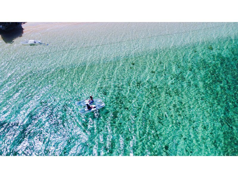 石垣島【1組限定貸切ツアー】3歳-12歳以下無料!! クリアサップ＋ドローン撮影&GoPro貸し出し無料!の紹介画像