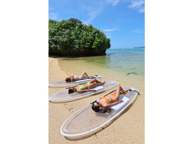 石垣島【1組限定貸切ツアー】3歳-8歳以下無料!! クリアサップ＋ドローン撮影&GoPro貸し出し無料!の紹介画像