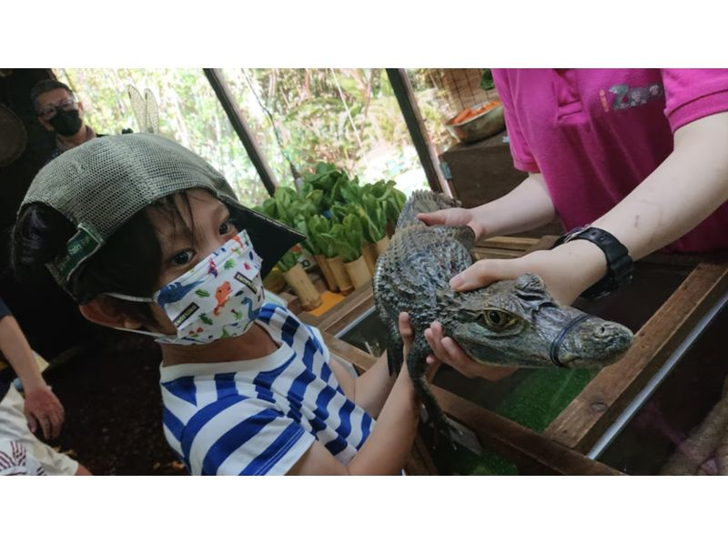 [From Tokyo/Chofu] Special plan for children @ Shizuoka tour reptiles, zoo, dinosaur tour