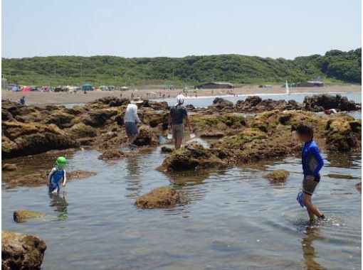 【神奈川・横須賀】Kids Adventure Tour＊家族向け＊川のガサガサツアーと和田長浜海岸、磯のガサガサ体験子供のみ参加