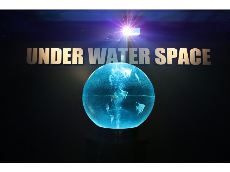 [โยโกฮาม่า] ตั๋วเข้าชม Under Water Space (Art Aquarium) เมษายน~の紹介画像