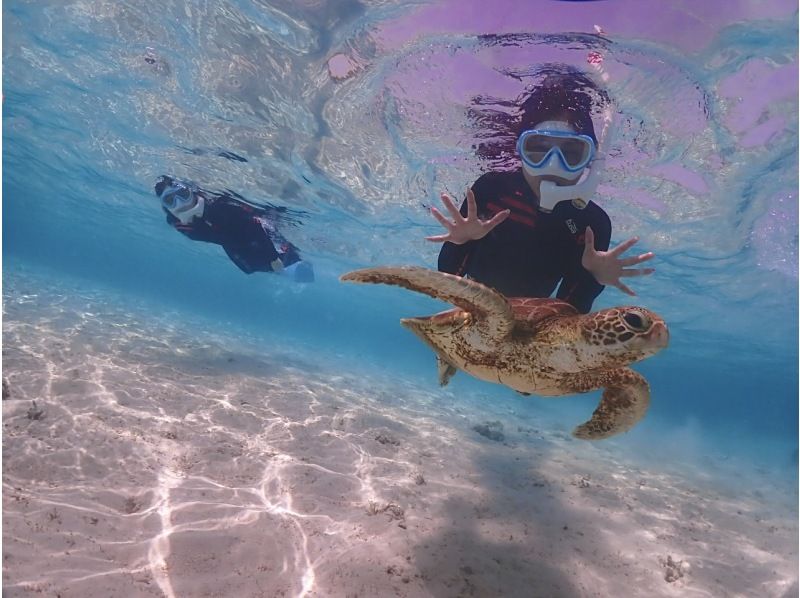 [Miyakojima] [Clear Kayak & Snorkeling Tour] [Drone Photography Included] This plan allows you to choose between snorkeling with sea turtles or coral fish!の紹介画像