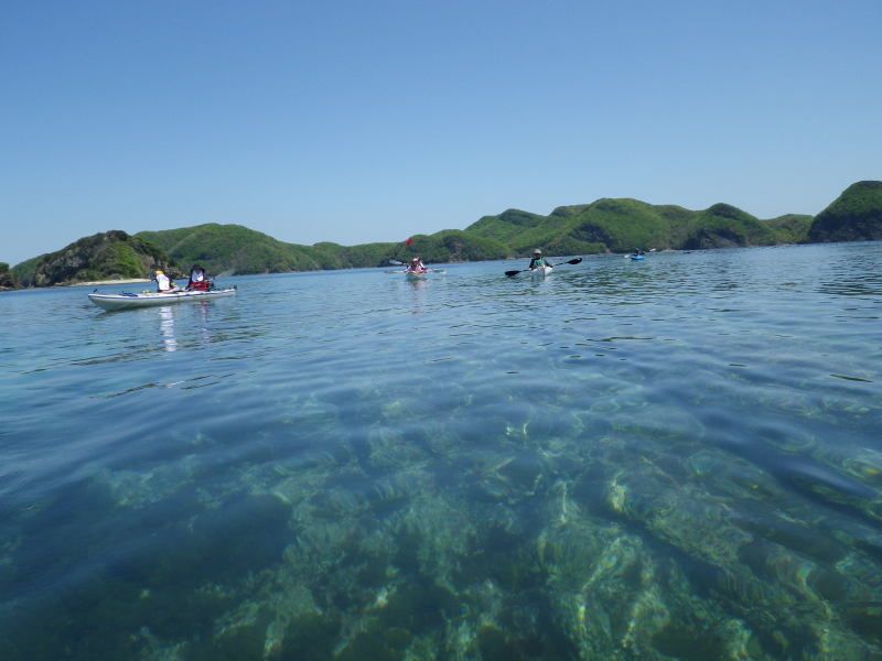 對馬生態之旅