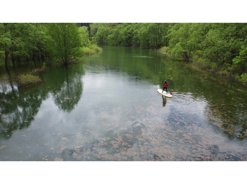 【山形・飯豊】幻想的な白川湖水没林でSUP体験 ♪　週末限定プラン　写真サービス！の紹介画像