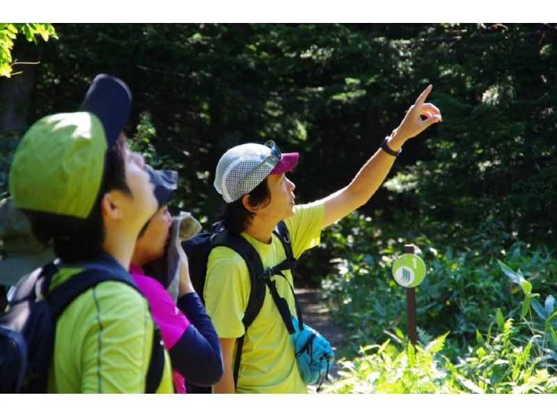 【北海道・知床】気軽に世界遺産を散策！フレペの滝ガイドウォークの紹介画像