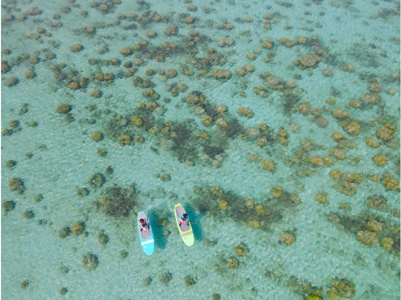 奄美大島【当日予約可能】SUP（90分）※ドローン空撮等写真の無料プレゼントあり※お1人様もお任せ下さい☆の紹介画像