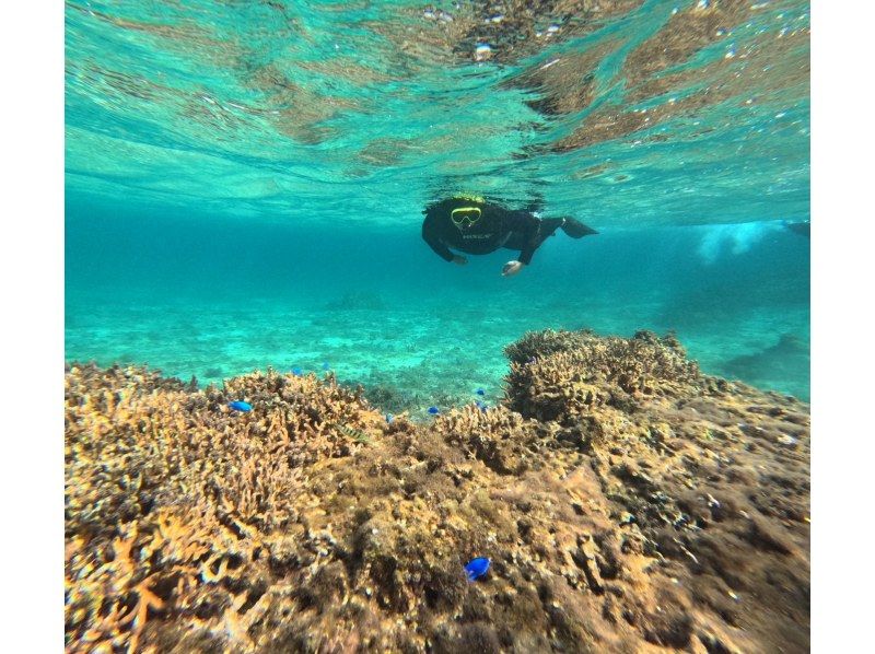 奄美大島【当日予約可能】シュノーケリング（90分）【GoPro水中撮影・ドローン空撮】★口コミ投稿で撮影データ無料プレゼント★の紹介画像