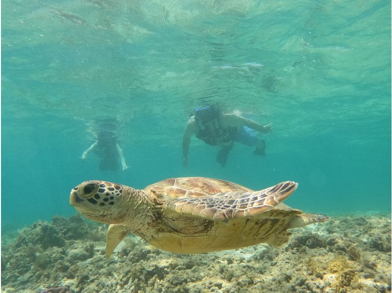 奄美大島【当日予約可能】シュノーケリング（90分）【GoPro水中撮影・ドローン空撮】★口コミ投稿で撮影データ無料プレゼント★の紹介画像