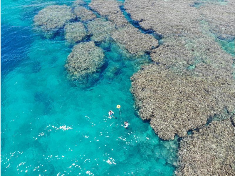 奄美大島【当日予約可能】シュノーケリング（90分）【GoPro水中撮影・ドローン空撮】★口コミ投稿で撮影データ無料プレゼント★の紹介画像