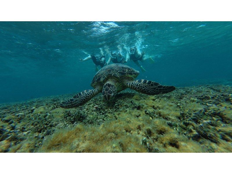 奄美大島【当日予約可能】シュノーケリング（90分）【GoPro水中撮影・ドローン空撮】★口コミ投稿で撮影データ無料プレゼント★の紹介画像