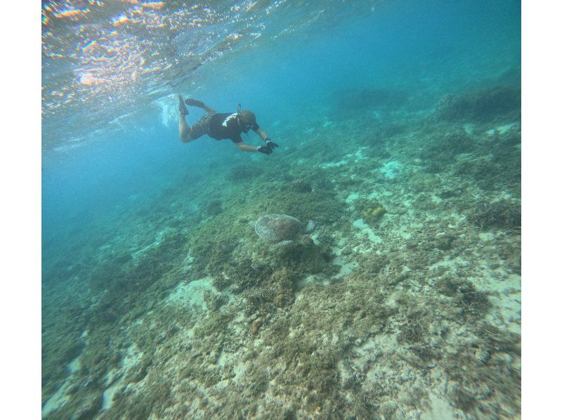 奄美大島【当日予約可能】ジェットツーリング（90分）★シュノーケリング付★※口コミ投稿で撮影データの無料プレゼントあり※の紹介画像