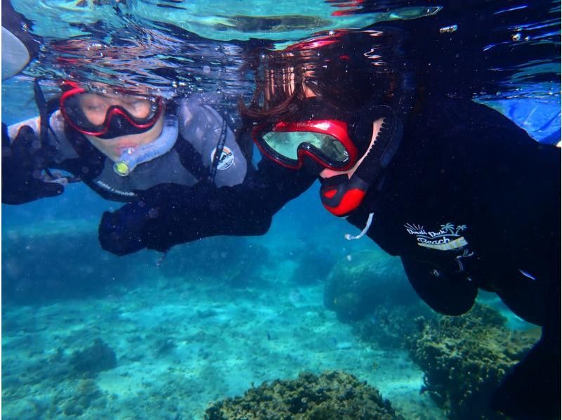  [Snorkeling with sea turtles from the evening] ♪ Sea turtle encounter rate is high