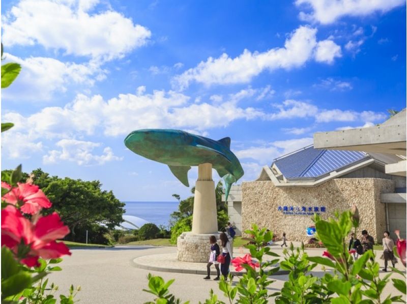 ★All admission fees included★ [Departing from Okinawa, Naha/Chatan] Glass boat, Bise Fukugi Tree Line, Churaumi Aquarium, American Village (Course B)の紹介画像