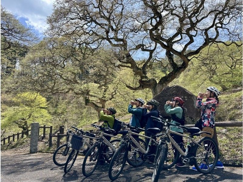 [Hiroshima/Kitahiroshima Town] Sokoiko! Cycling Oasa ~ An e-Bike guided tour to experience Oasa with all five senses! ~ For people who love bicycles and natureの紹介画像