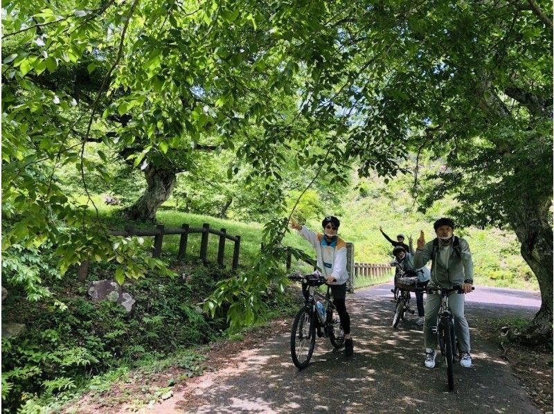 【広島・北広島町】Trip! Cycling大朝　〜自然を五感で感じるe-Bikeサイクリングガイド付きツアー！〜　☆自然好きな方向け☆の紹介画像