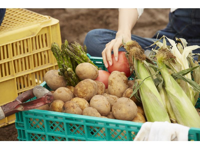 【大分・佐伯市】1組限定!【1泊2食/♨️】「民宿夏木小屋」藤河内渓谷/九州山地を繋ぐ!『小川/里山/ピザ作り/薪割り体験無料』通年受入の紹介画像