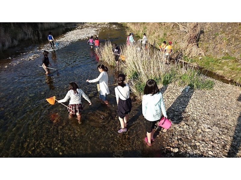 【大分・佐伯市】1組限定!・自然体験民宿　夏木小屋(佐伯IC19分)【1泊2食/♨️】小川・里山・ピザ作り/薪割り体験(無料)★子供参加可の紹介画像