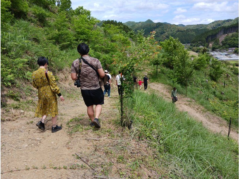 【大分・佐伯市】1組限定!・自然体験民宿「1泊2食/♨️付」小川・里山・ピザ焼き/薪割り体験(無料)★子供参加可の紹介画像