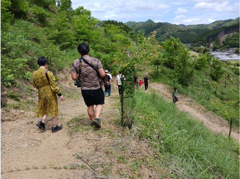 【大分・佐伯市】1組限定!・自然体験民宿　夏木小屋(佐伯IC19分)【1泊2食/♨️】小川・里山・ピザ作り/薪割り体験(無料)★子供参加可の紹介画像