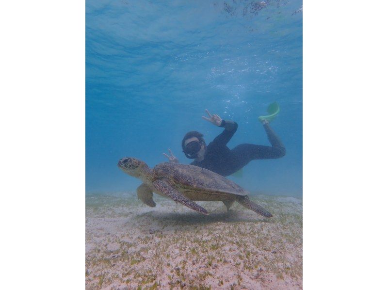 [Okinawa/Miyakojima] 2 points snorkeling! Colorful tropical fish and coral reef sea turtles ♡ You can even see Nemo ♡ The location is great ♡の紹介画像