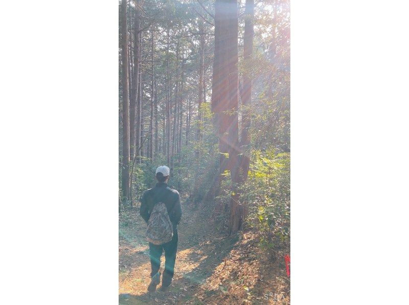 [埼玉/常川] Yumitateyama徒步旅行！ 2.5小时体验！欢迎女性、家庭、情侣和单身人士！玉川温泉入浴券，包括旅游照片！の紹介画像