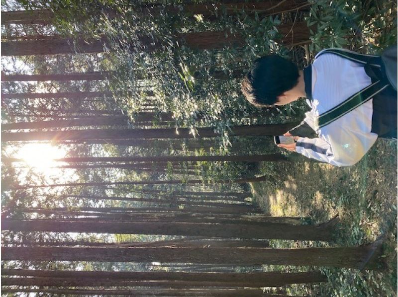 [Saitama / Tokigawa] Yumitateyama trekking tour! 2.5 hours experience! Women, families, couples, and singles are welcome! Tamagawa Onsen bathing ticket, tour photo included!の紹介画像