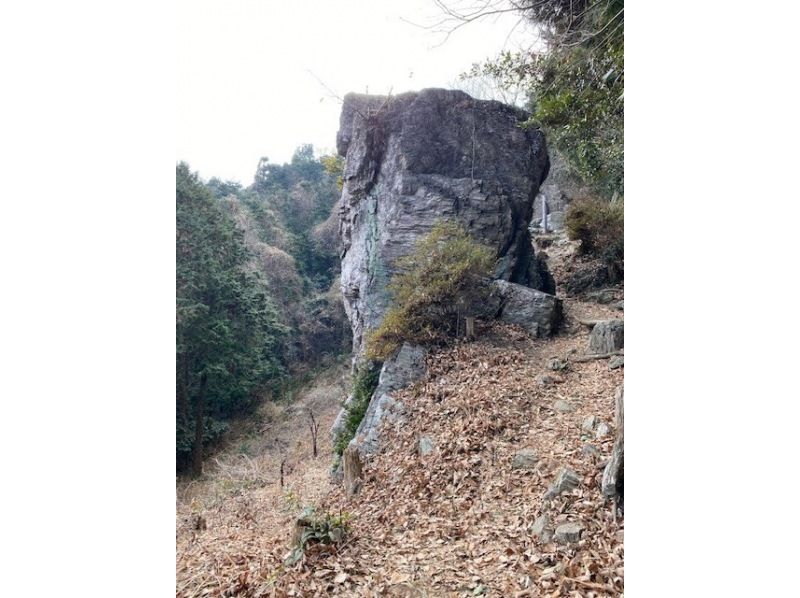 [埼玉/常川] Yumitateyama徒步旅行！ 2.5小时体验！欢迎女性、家庭、情侣和单身人士！玉川温泉入浴券，包括旅游照片！の紹介画像