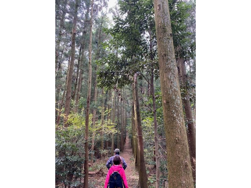 [埼玉/常川] Yumitateyama徒步旅行！ 2.5小时体验！欢迎女性、家庭、情侣和单身人士！玉川温泉入浴券，包括旅游照片！の紹介画像