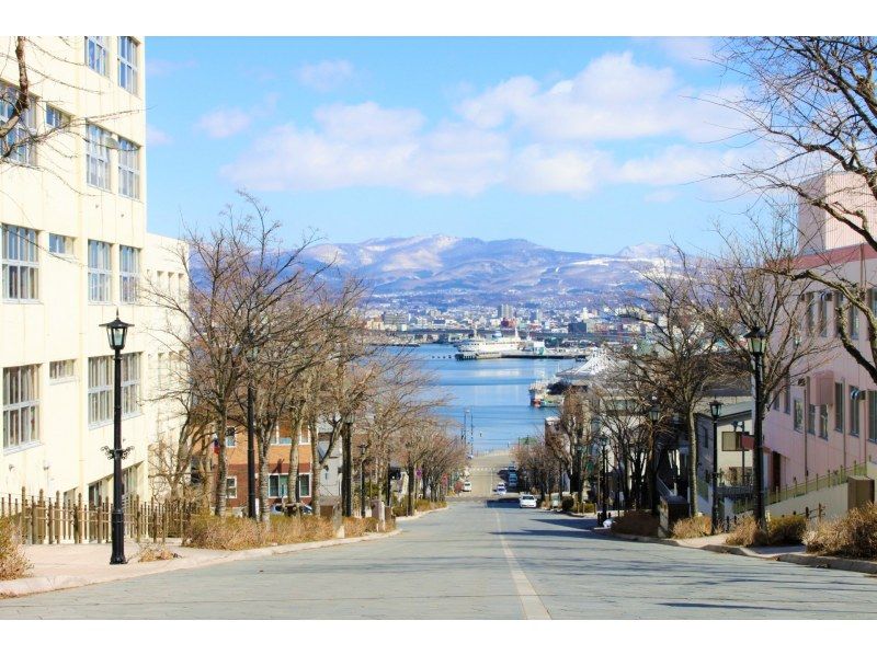 札幌発着：函館の桜を見て回る１泊２日満喫バスツアーの紹介画像