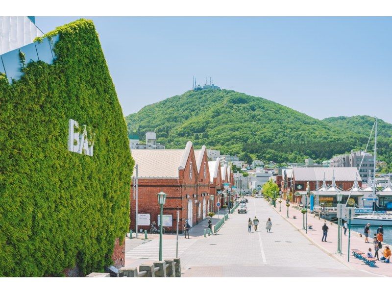 札幌発着：函館の桜を見て回る１泊２日満喫バスツアーの紹介画像