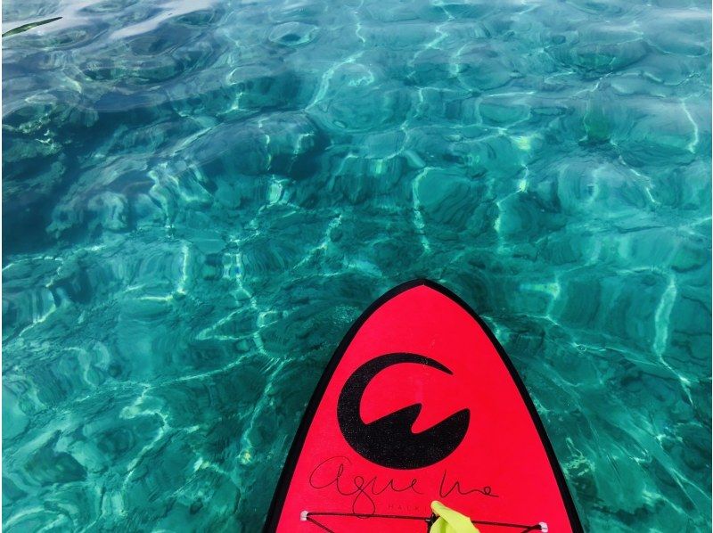 [Seasonal popular tour] Quick SUP (stand up paddle board) tour ★ Can be reserved ★の紹介画像