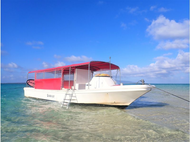 [Ishigaki] Land on the phantom island and swim with sea turtles♪ Mermaid experience♡ Photo and video gifts☆ Shower, one-way boat ticket included. Tours of Taketomi and Obama available.の紹介画像