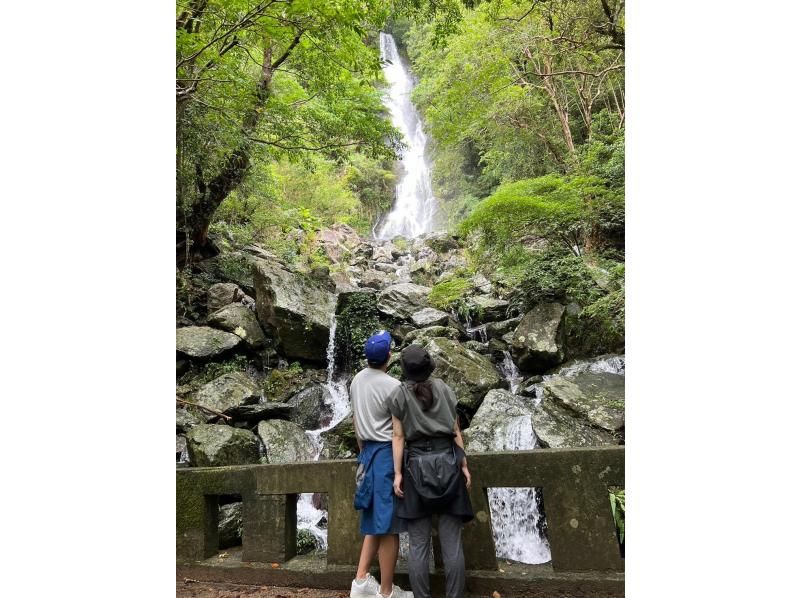 奄美大島【当日予約可能】マングローブカヌー＆ジャングルツアー（180分）日中に大自然を満喫！※口コミ投稿で撮影データ無料プレゼント※の紹介画像