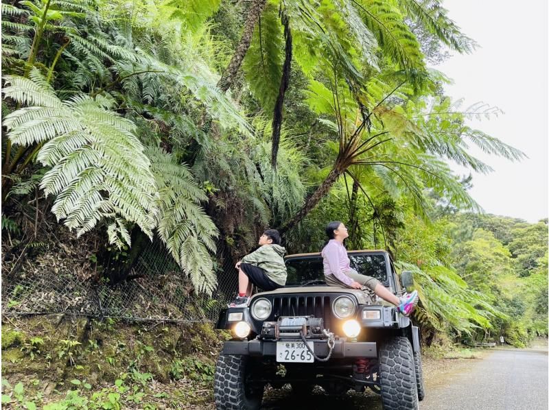 奄美大島【当日予約可能】マングローブカヌー＆ジャングルツアー（180分）日中に大自然を満喫！※口コミ投稿で撮影データ無料プレゼント※の紹介画像