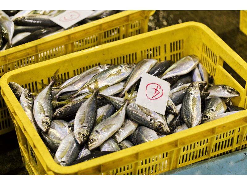 【静岡・熱海】セリ見学からひもの造りまで！ 熱海魚市場でセリ見学＆買い付けからのひもの造り体験♪干物のイメージが変わります！の紹介画像