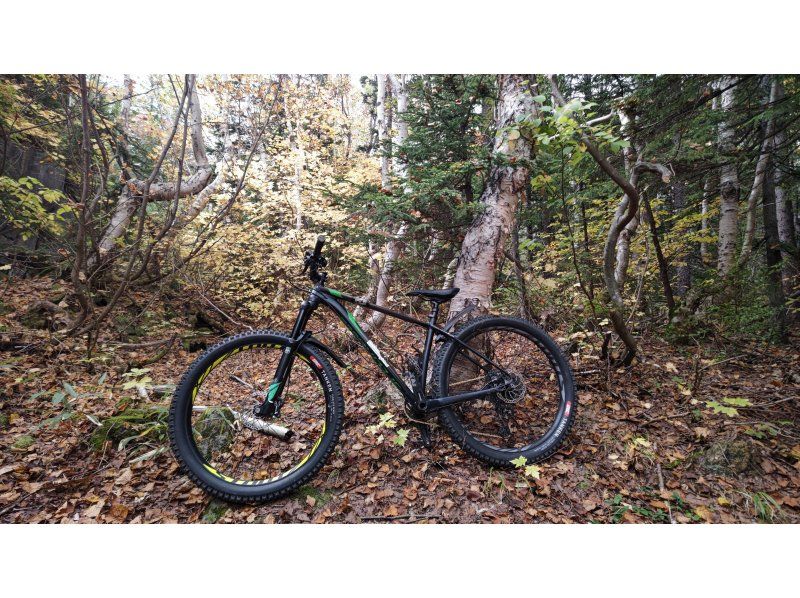 サイクリングツアー癒しの聖地北海道「野鳥の森～原始の森～不動の滝」電動アシスト付きMTBガイドツアー