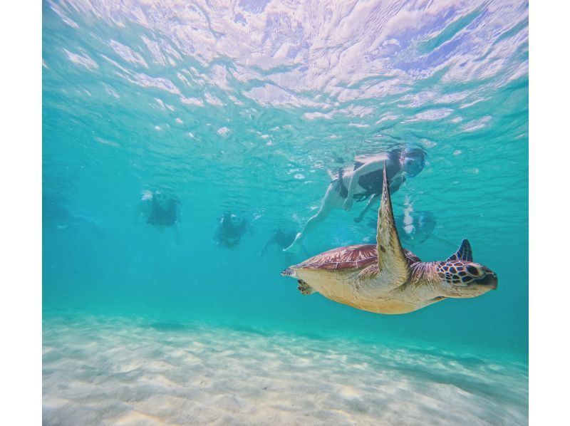 Clear Sup + Beach Snorkeling 2-hour planの紹介画像