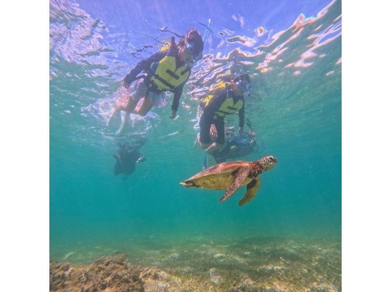 Clear Sup + Beach Snorkeling 2-hour planの紹介画像