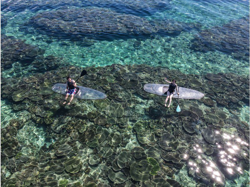 Clear Sup + Beach Snorkeling 2-hour planの紹介画像