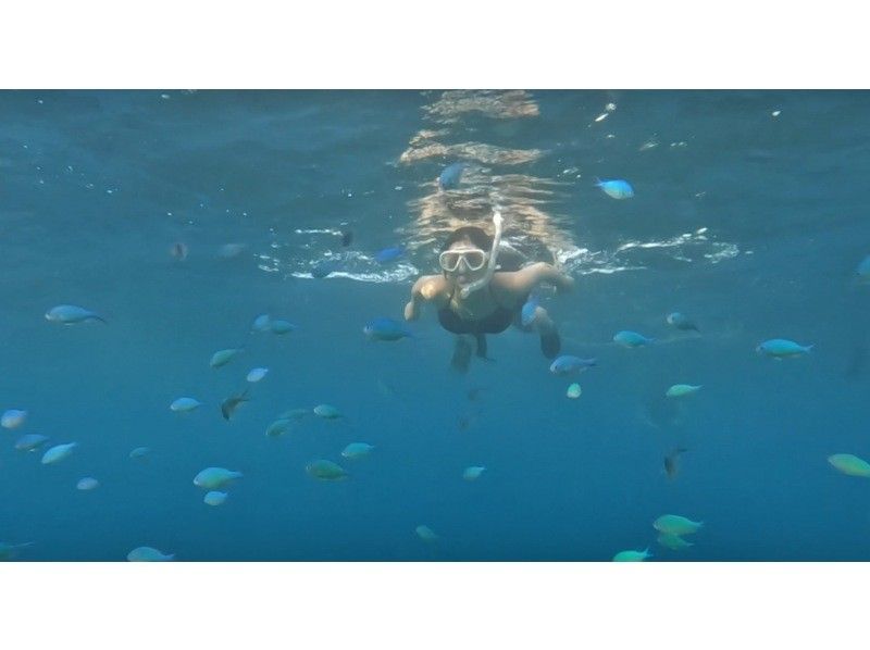 [Private tour limited to one group] SUP & Snorkeling! Enjoy the Okinawan ocean while paddling and drifting. Short movie included.の紹介画像