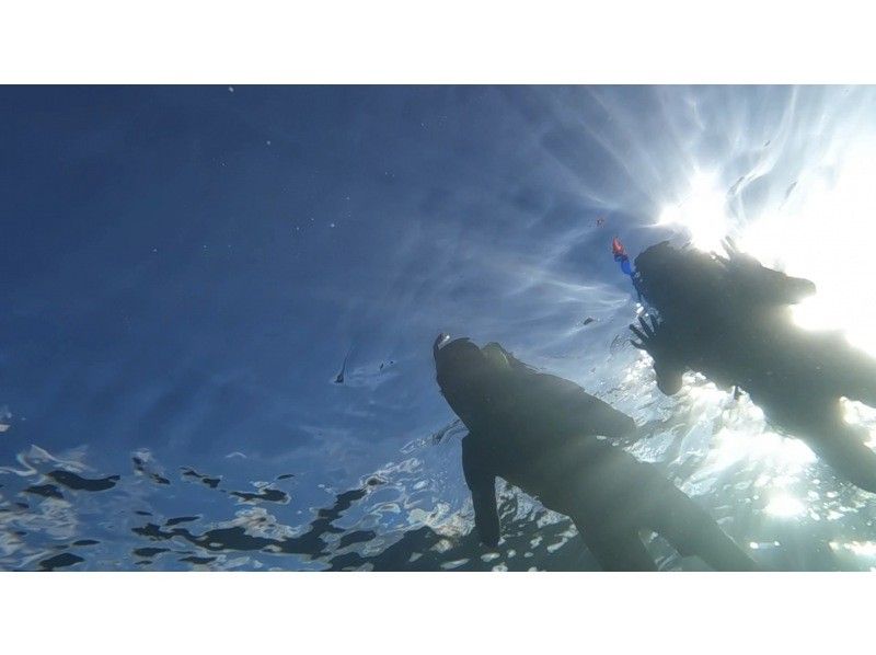 [Private tour limited to one group] SUP & Snorkeling! Enjoy the Okinawan ocean while paddling and drifting. Short movie included.の紹介画像
