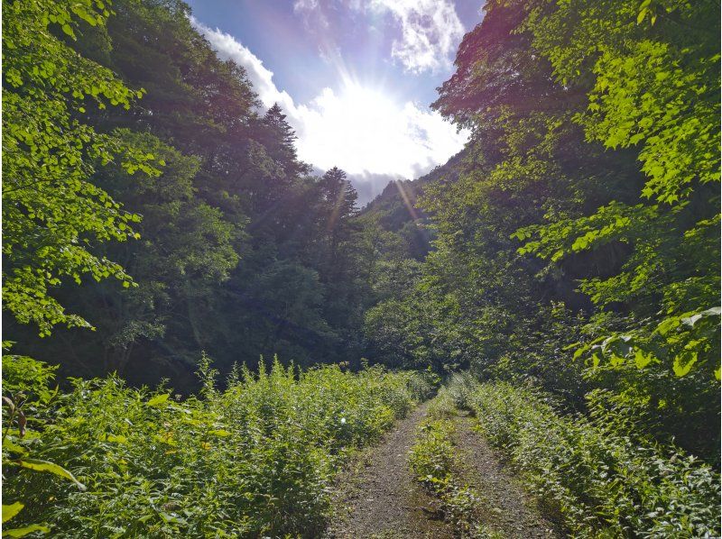 サイクリングツアー癒しの聖地北海道「富良野秘境の滝巡り」電動アシスト付きMTBガイドツアーの紹介画像
