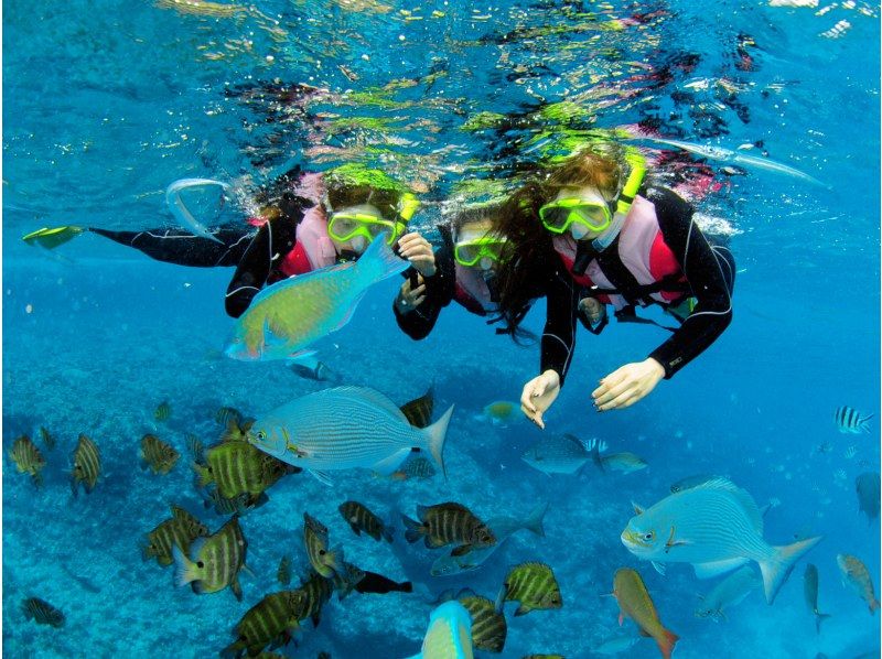 【沖縄県恩納村】パラセーリング＆青の洞窟へ行くシュノーケリングボートコースセットの紹介画像