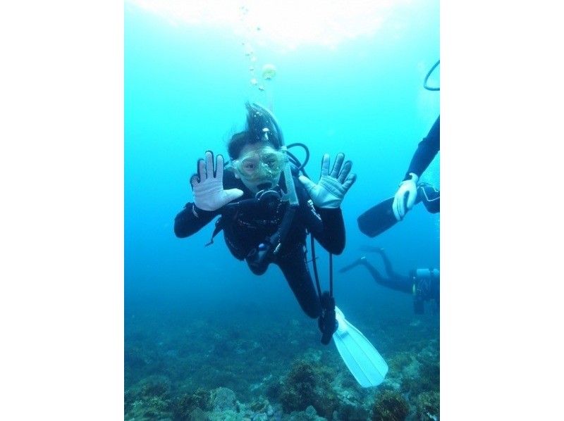 【神奈川・真鶴】体験ダイビング〜海の世界を体験！水中の楽しさを知る！の紹介画像