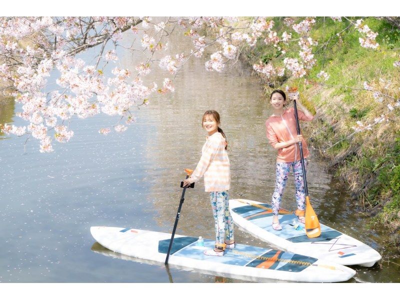 [Limited time only] Cherry blossom viewing SUP experience tour to the water village of Omihachiman! [1 hour course]の紹介画像