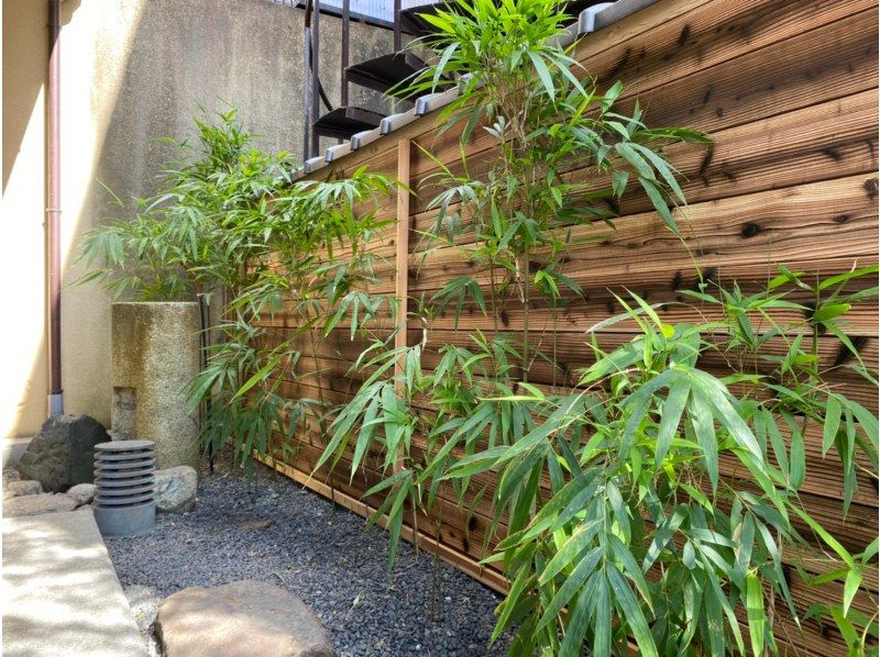 【京都市】 *:._オーガニック蜜蝋＋お好きな精油で作る［木芯アロマキャンドル（約50g／1瓶）］調香・手作り体験の紹介画像