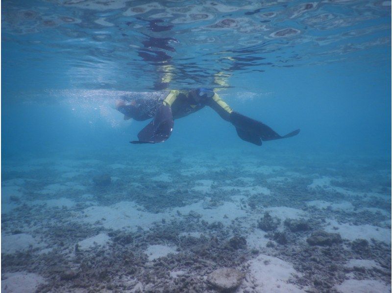 [鳥取/浦富海岸]世界第一！手鰭（Manta Flyer）浮潛與獨木舟の紹介画像